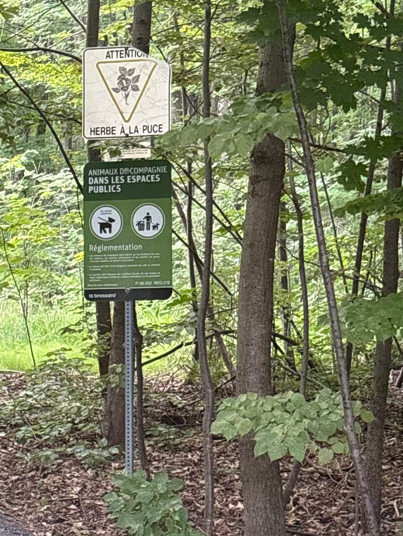 walking near me in Parc écologique des Sansonnets in summer