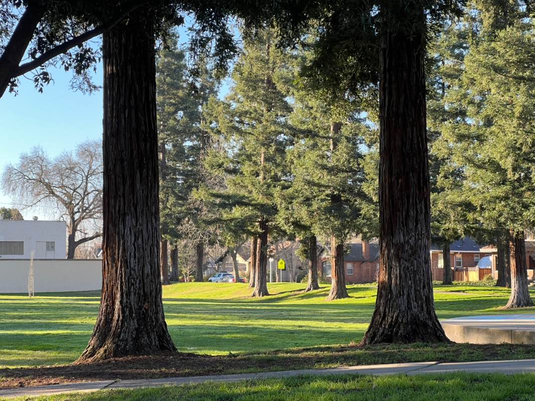 walking near me in Hutchin Street Square in winter