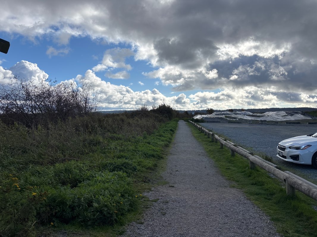 walking near me in Mud Bay Park in autumn