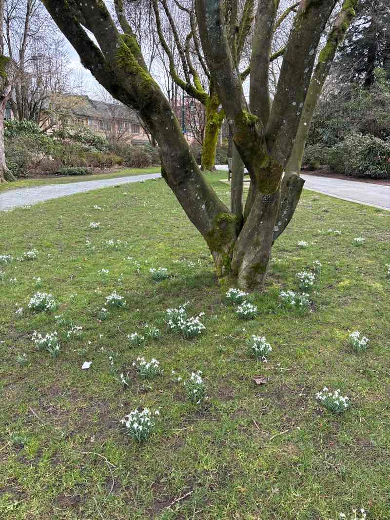 walking near me in Donald Pathway in winter