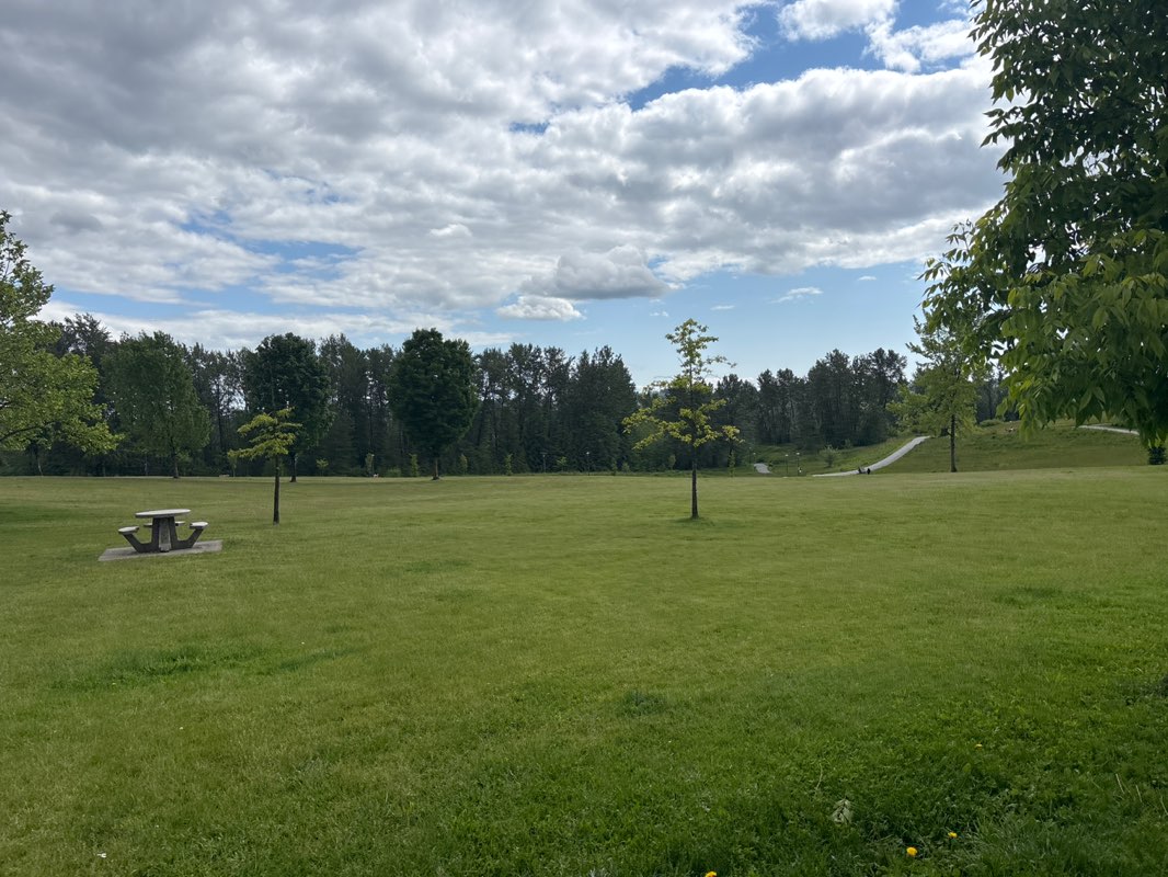 walking near me in Castle Park in spring