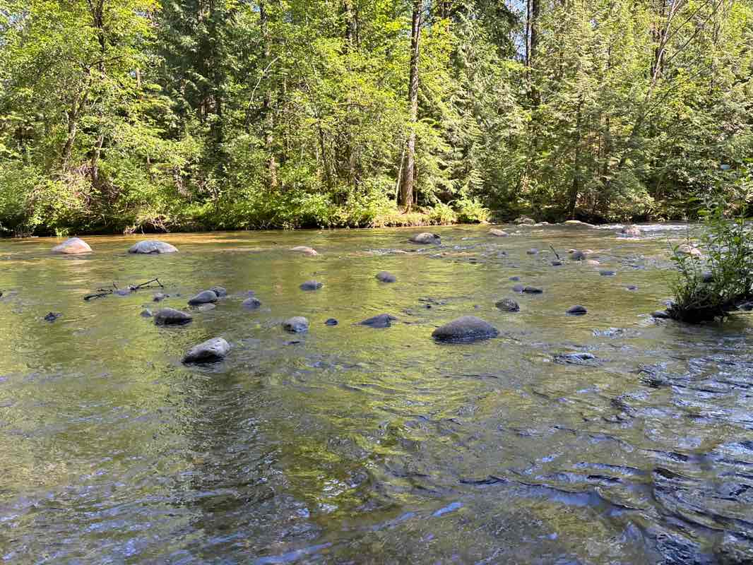 walking near me in Coquitlam River Park in summer
