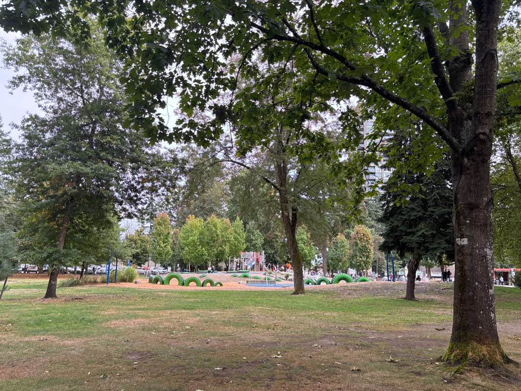 walking near me in Lions Park in autumn