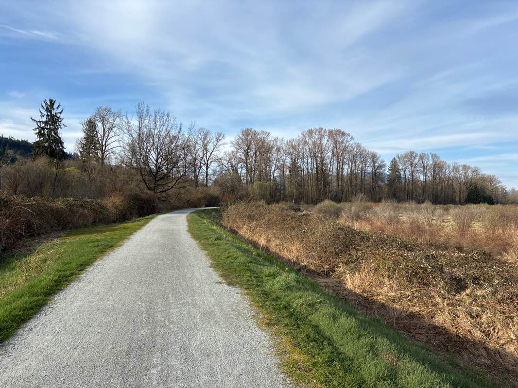 walking near me in Colony Farm Regional Park in spring