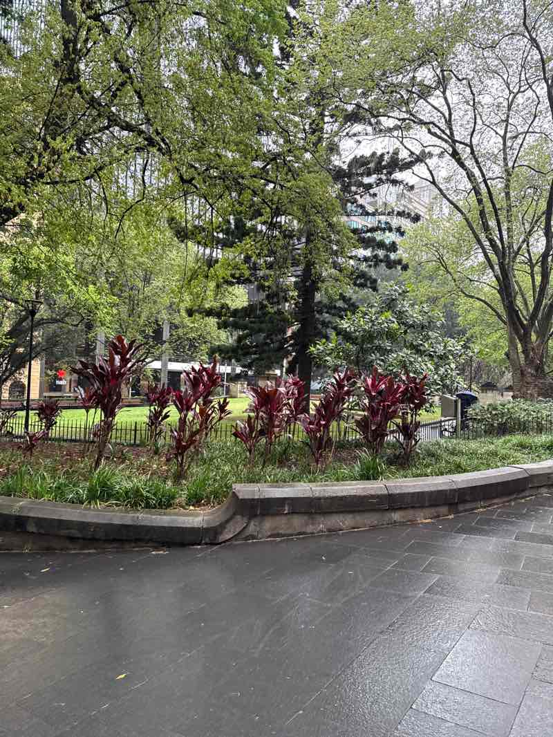 walking near me in Wynyard Park in spring