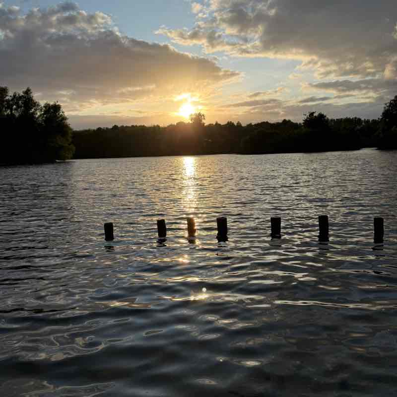 De Houtjes sannekemi post image