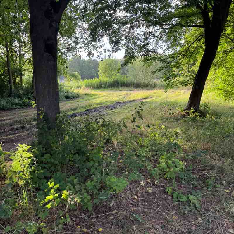 De Houtjes sannekemi post image