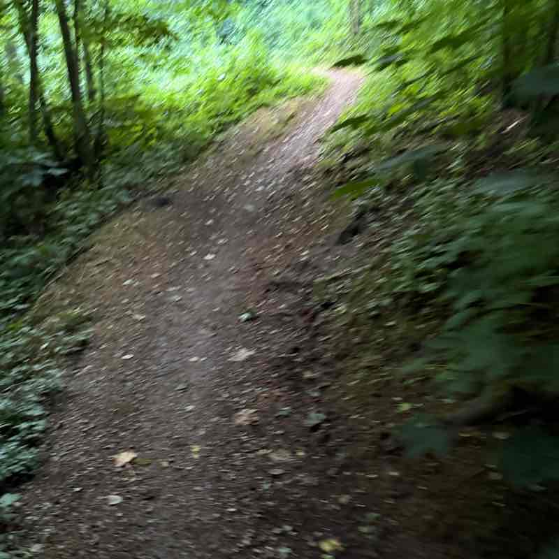 De Houtjes sannekemi post image