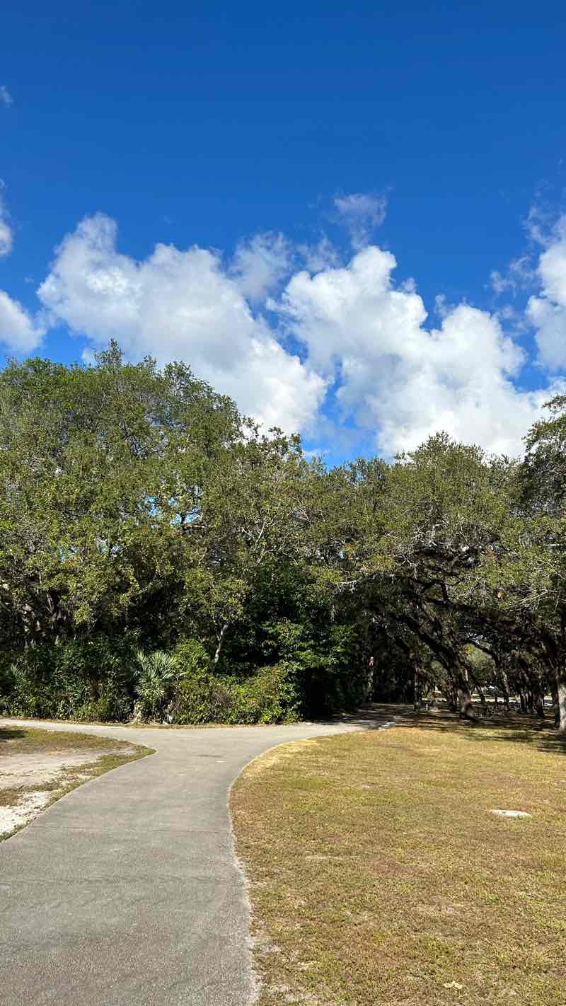 walking near me in Greynolds Golf Course in winter