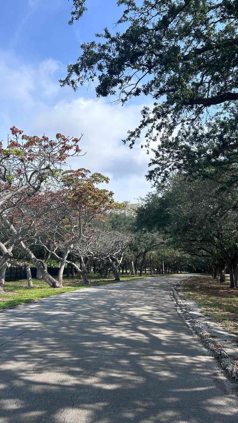 walking near me in Arthur Snyder Tennis Complex in winter