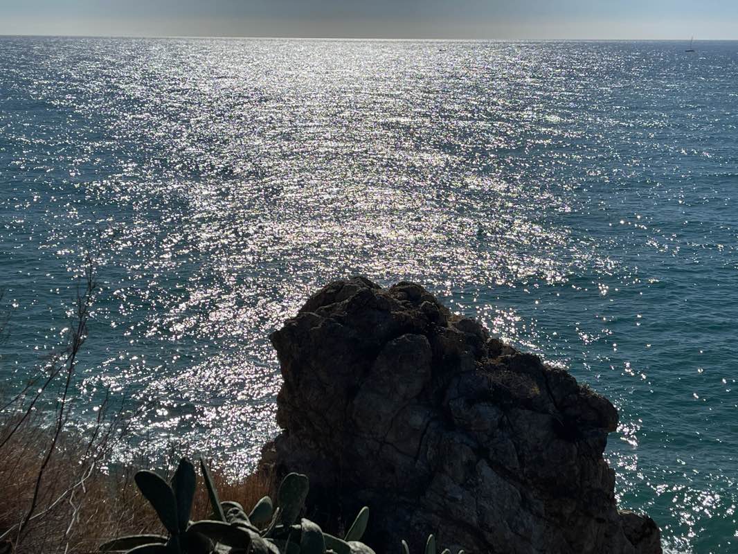 walking near me in Dalmau Park in winter