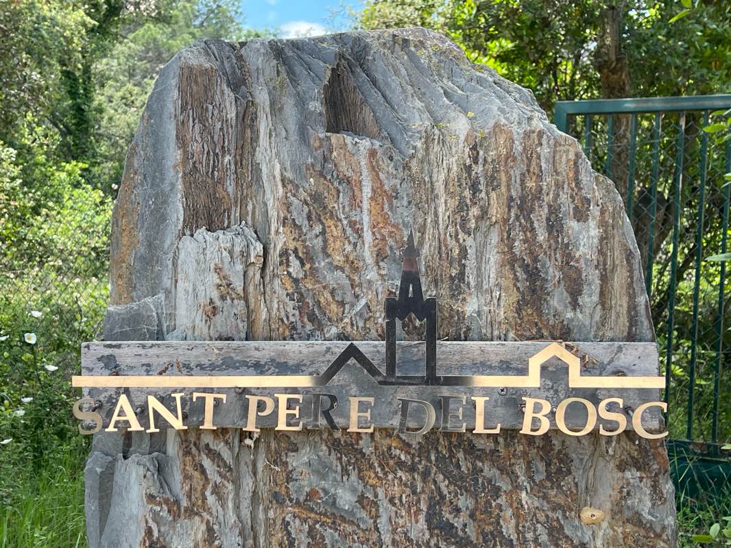 walking near me in Paratge El Vilar in winter