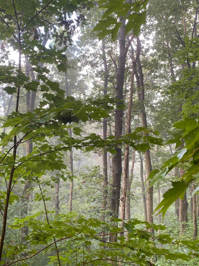 walking near me in South Mountain State Battlefield in winter