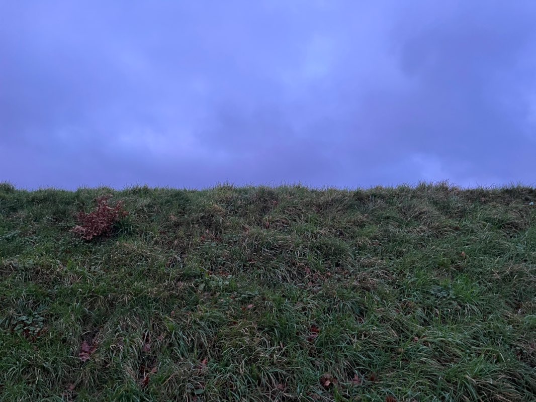 walking near me in Battle Recreation Ground in winter