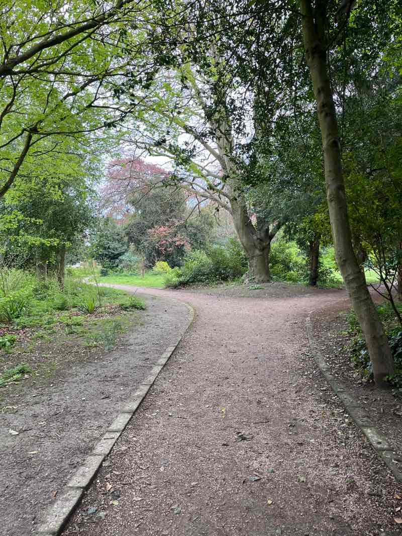 walking near me in Hartfield Square in spring