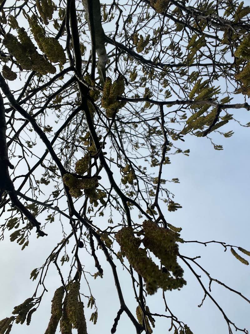 walking near me in Battle Recreation Ground in winter