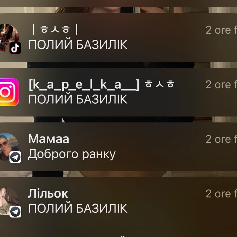 pizdets Ana post image