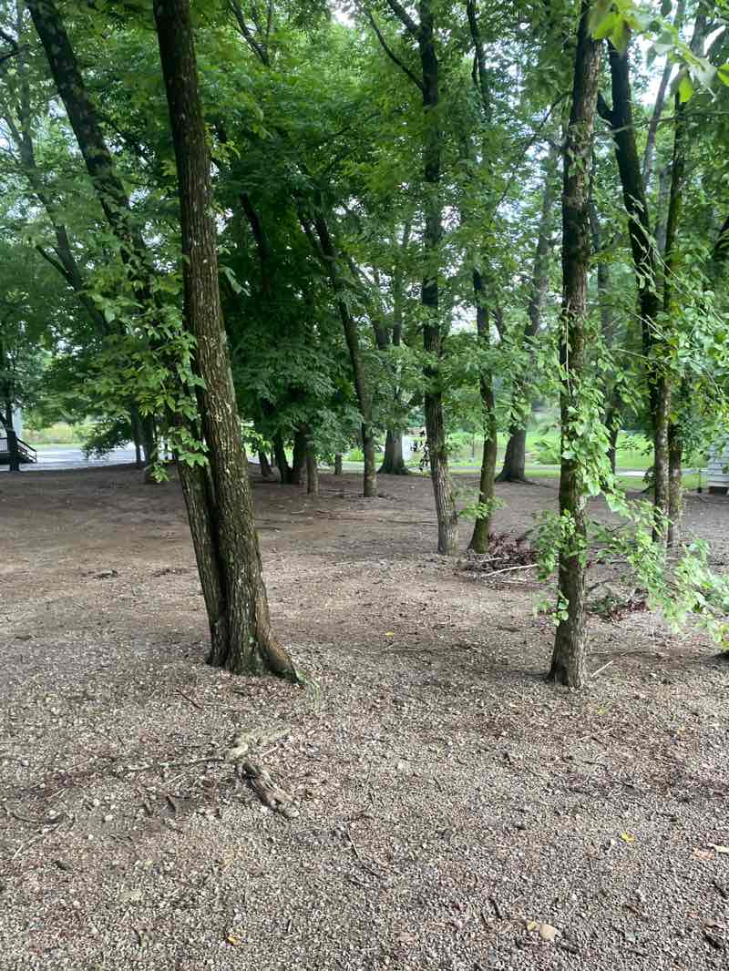 walking near me in Harrisburg Municipal Park in autumn