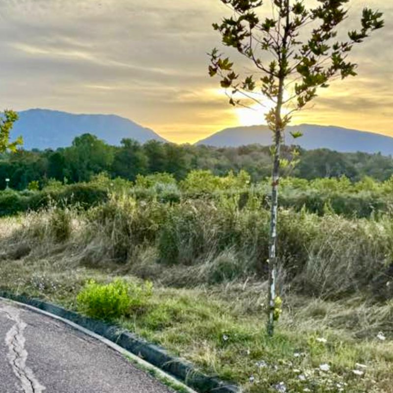 An 🚶‍♂️😎☀️😊🐶🥋🏂