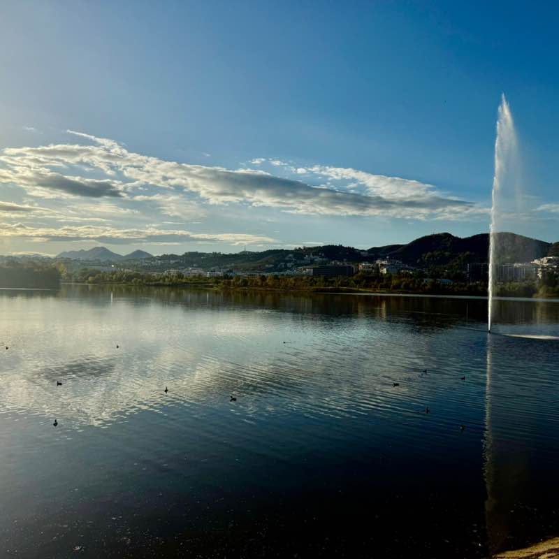 An 🚶‍♂️😎☀️😊🐶🥋🏂 post 2