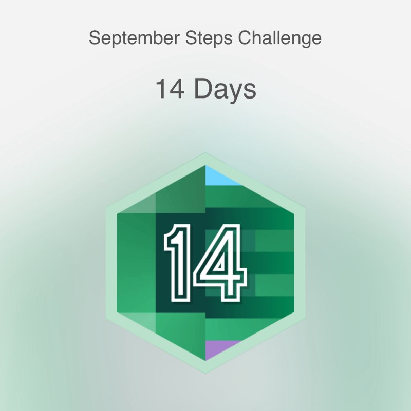 An 🚶‍♂️😎☀️😊🐶🥋🏂 post 1