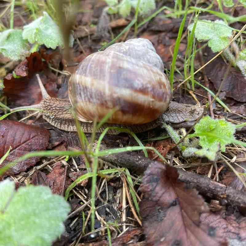 An 🚶‍♂️😎☀️😊🐶🥋🏂 post 1