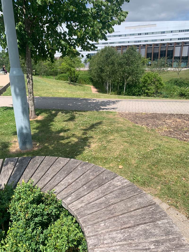 walking near me in Austin Park in summer