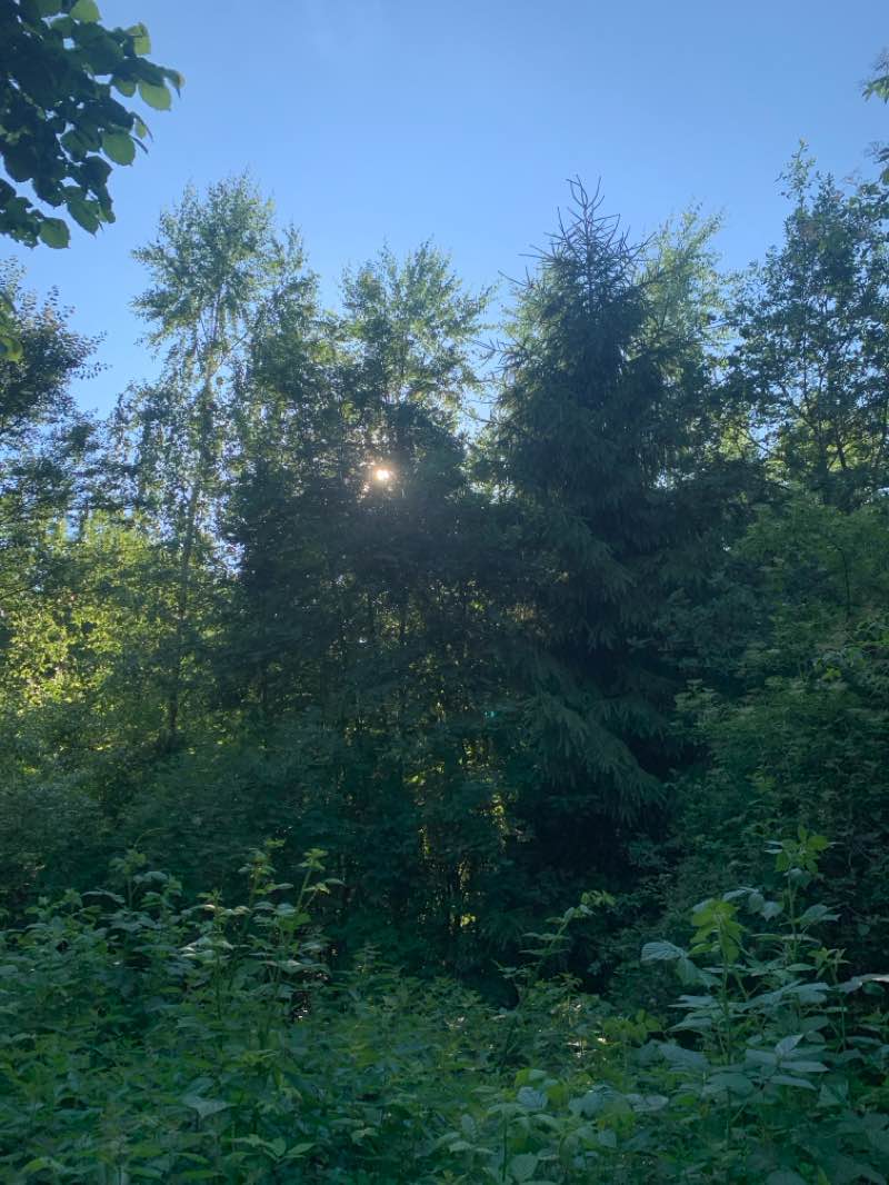 walking near me in Humanomed Zentrum Park in winter