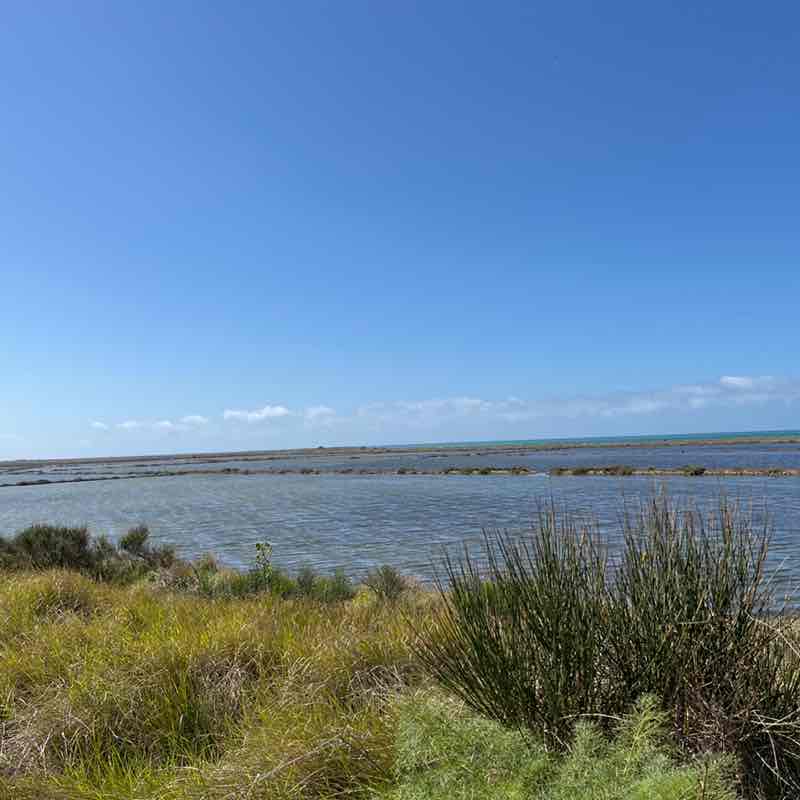 Va-lentina🐌🥇🏰🥇 post 2