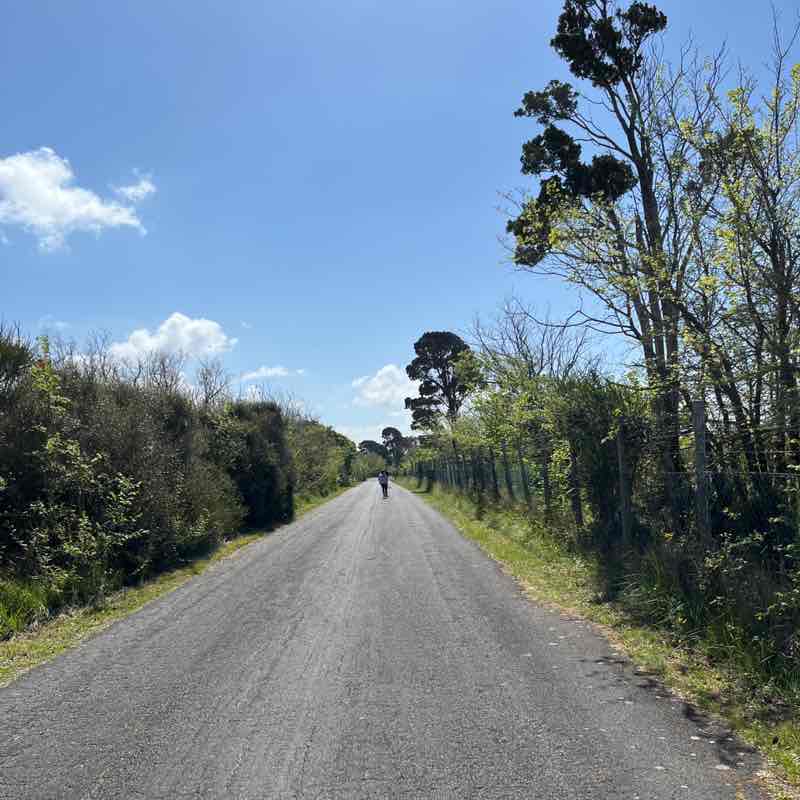 Va-lentina🐌🥇🏰🥇 post 3