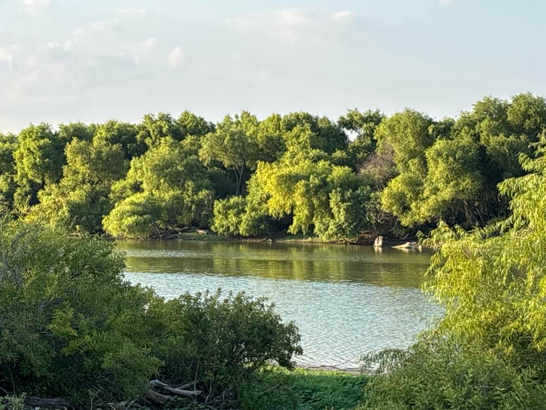 walking near me in Liberty Park in autumn