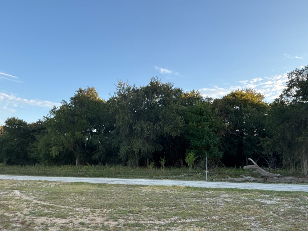walking near me in Independence Park East in autumn
