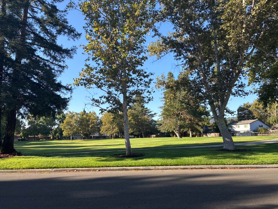 walking near me in Woodthrush Park in autumn