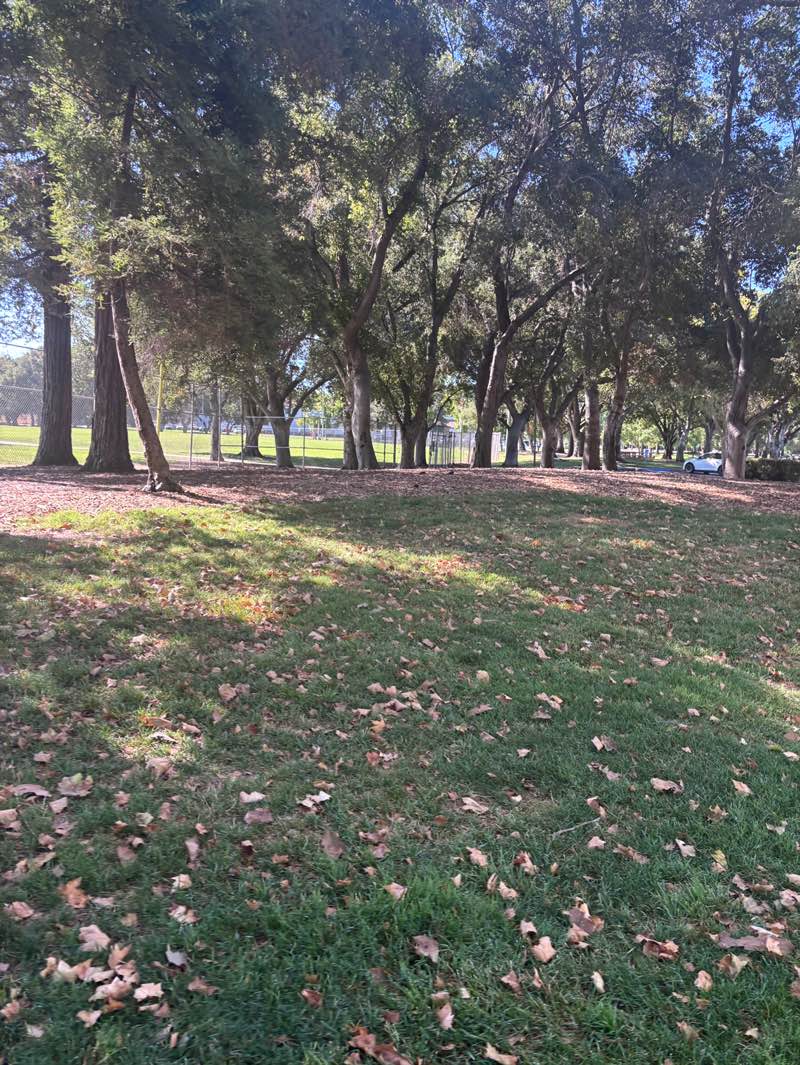 walking near me in Ken Mercer Sports Park in summer