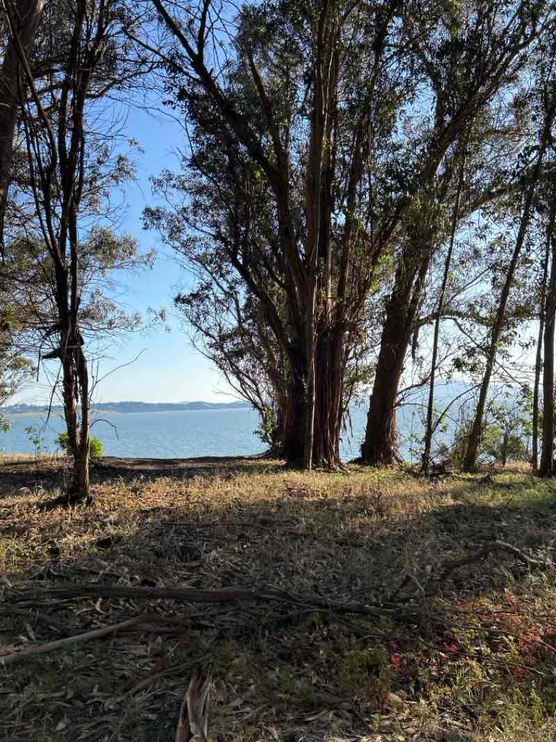 walking near me in Point Pinole Regional Shoreline in spring