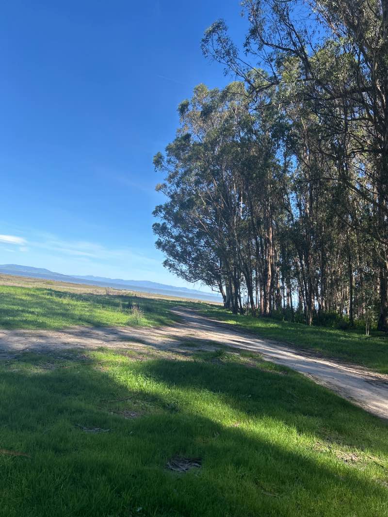 walking near me in Point Pinole Regional Shoreline in spring
