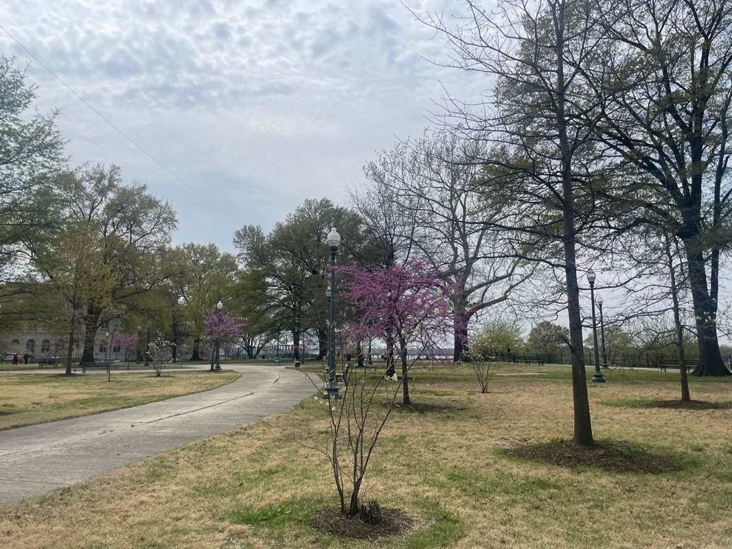walking near me in Memphis Park in spring