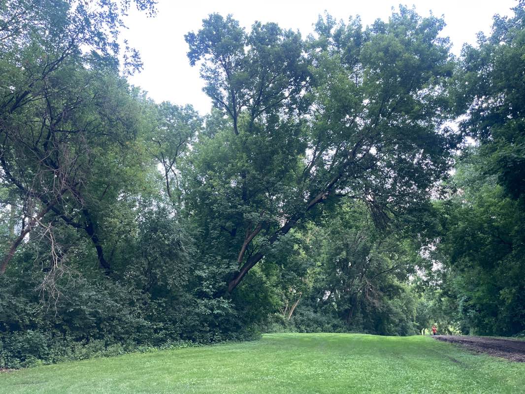 walking near me in Lake Girard Park in summer