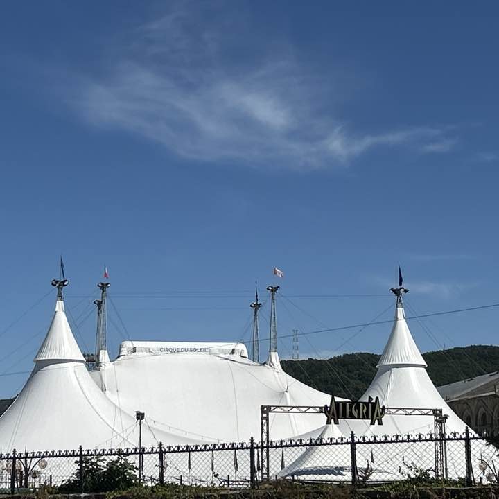 serenissima goldenplusroomsts post image