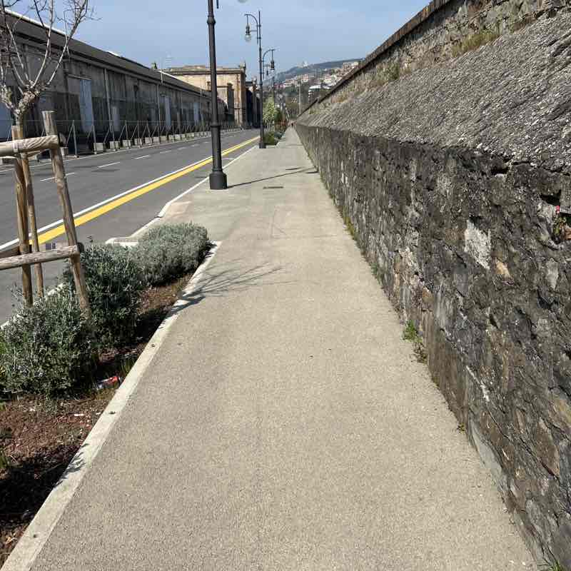 goldenplusroomsts@gmail.com post 1