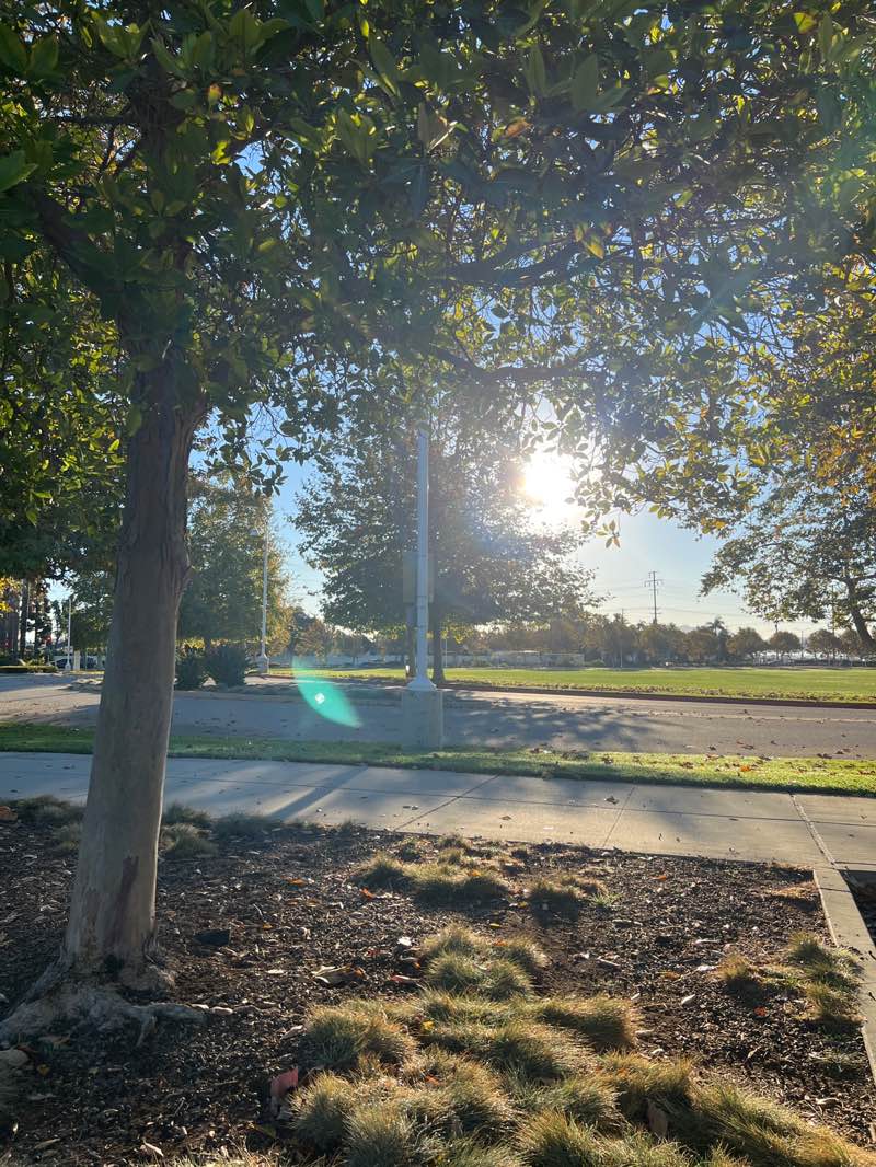 walking near me in Ventura Community Park in autumn