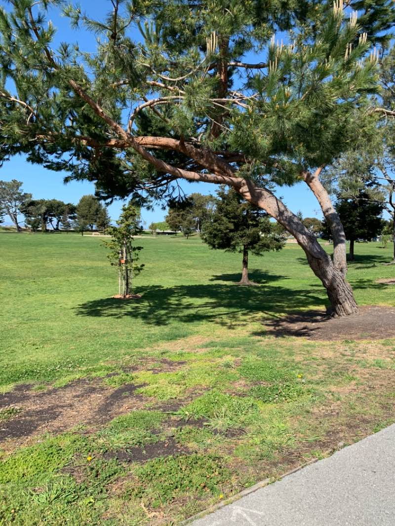 walking near me in Marina Park in winter