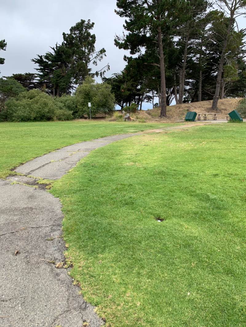 walking near me in Shorebird Park in winter