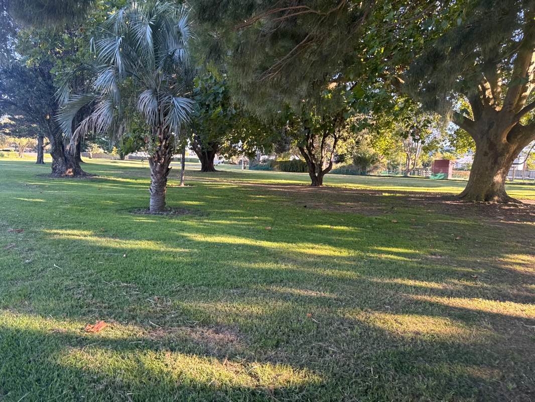 walking near me in Alfred Cox Park in summer