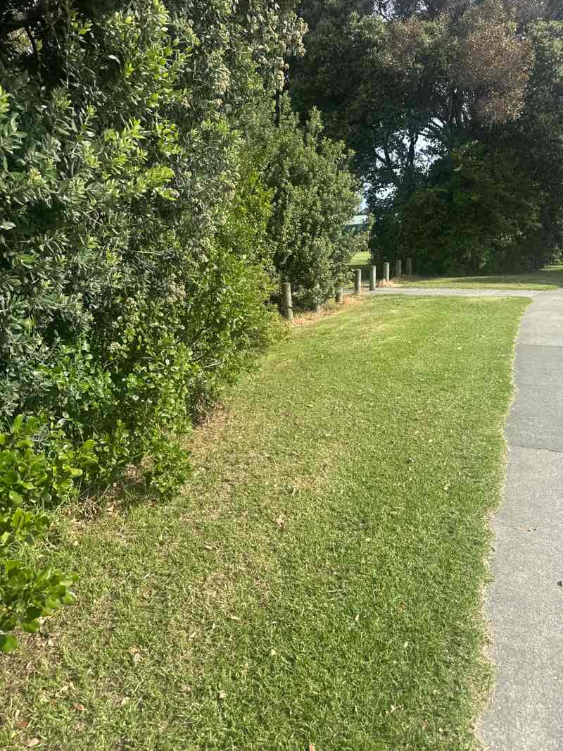 walking near me in Railway Station Reserve in summer