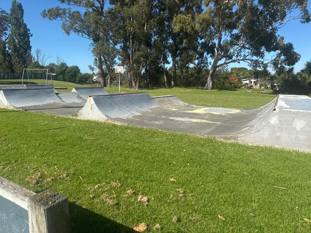 walking near me in Atkinson Street Reserve in autumn