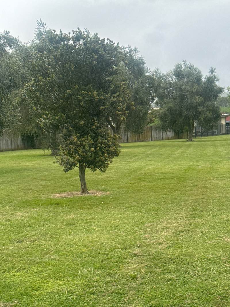 walking near me in Lytton West Reserve in autumn