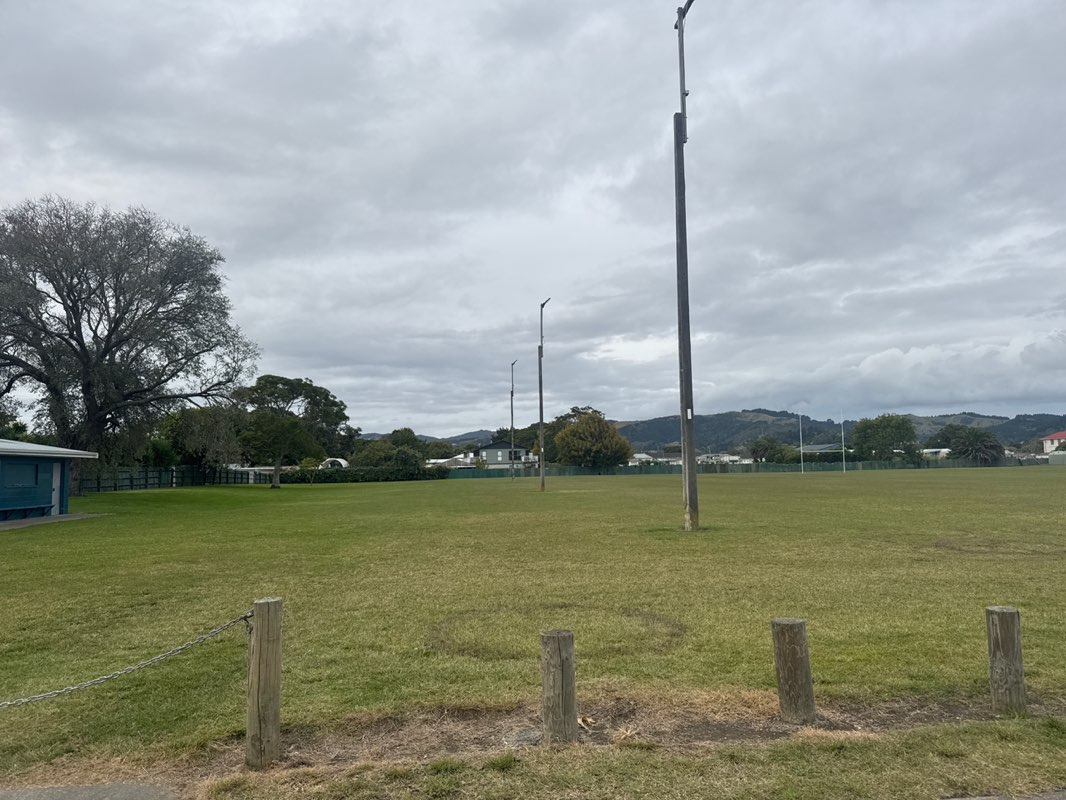 walking near me in Oval Reserve in autumn