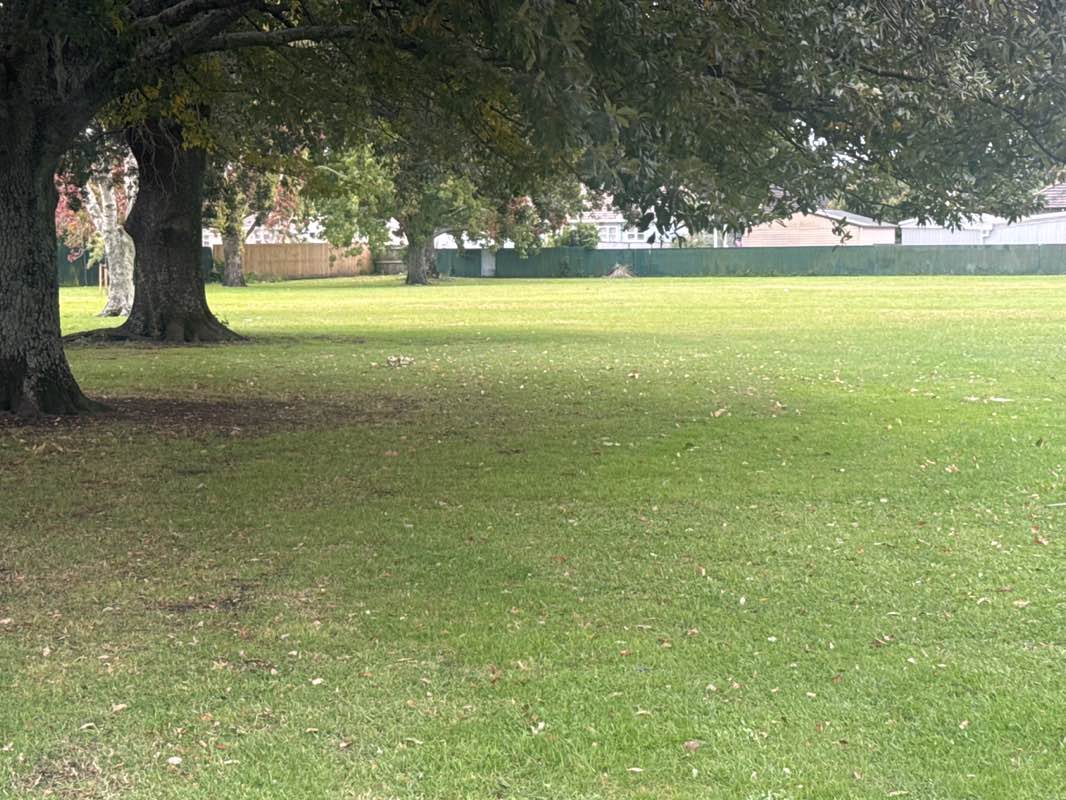 walking near me in Abbott Street Reserve in autumn