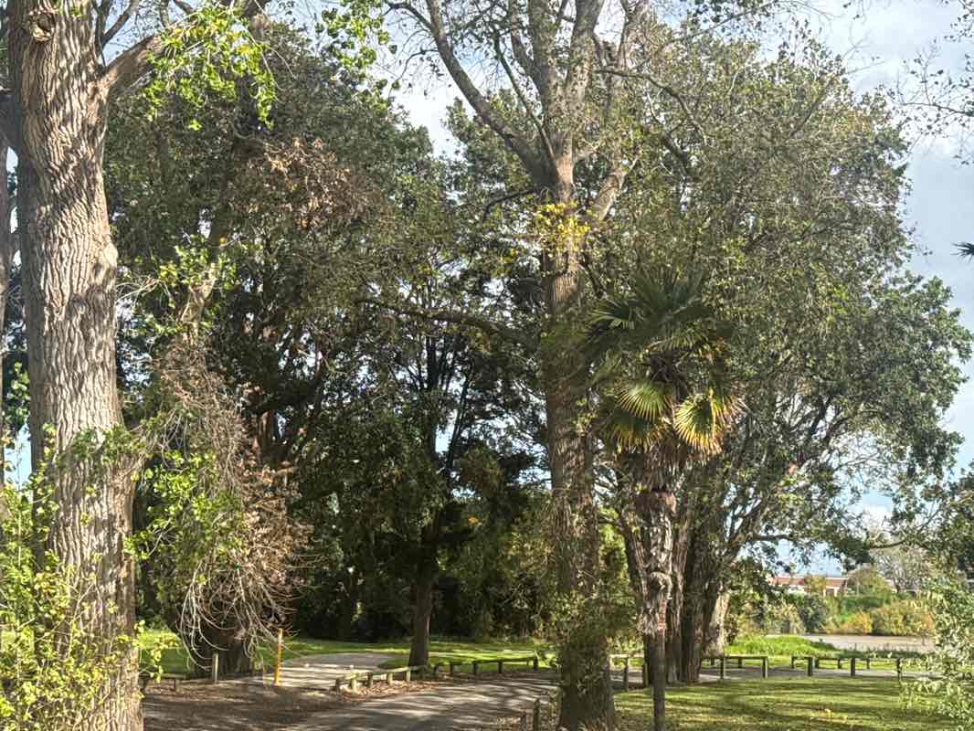walking near me in Kowhai Park in autumn